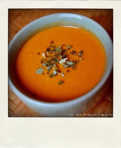 bol tomate veloute-pola