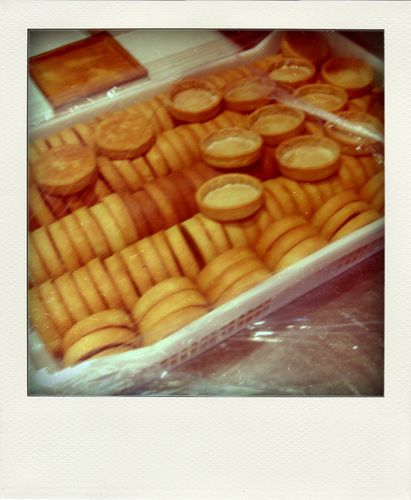 23.02.10--54--pola.jpg