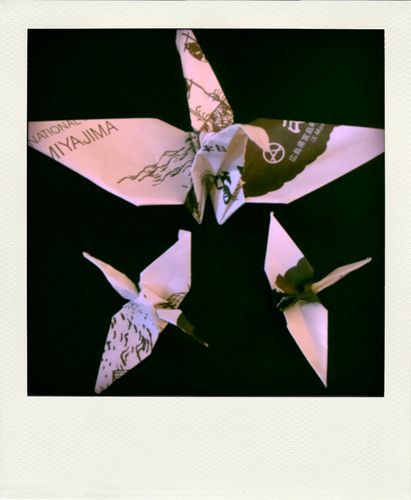 origami-pola.jpg