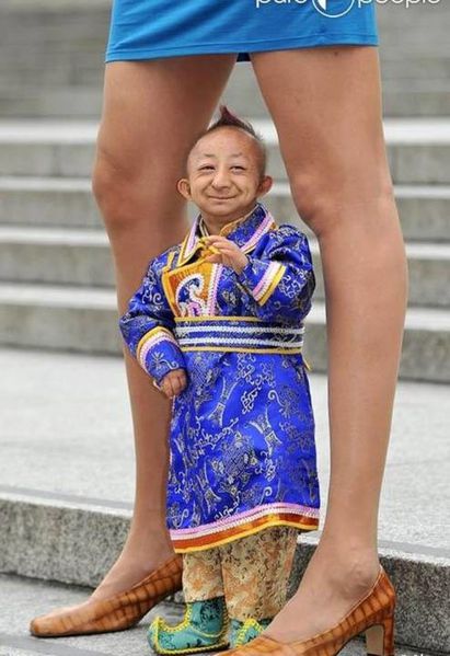 850998_ping.jpg