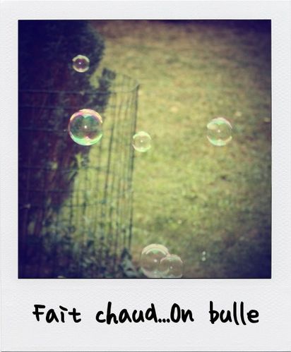 bulles (2)
