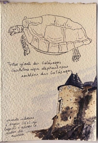 museum-4-copie-1.jpg