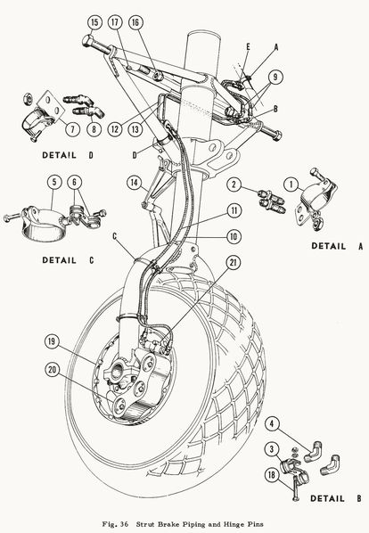 Beech-D18-5web.jpg