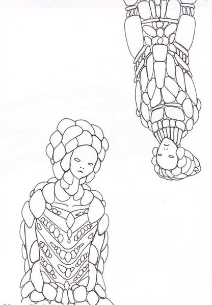 tortue2