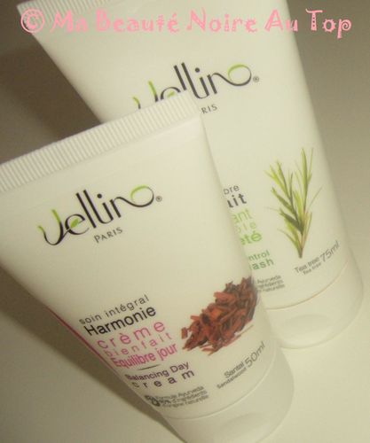 Vellino-006.JPG