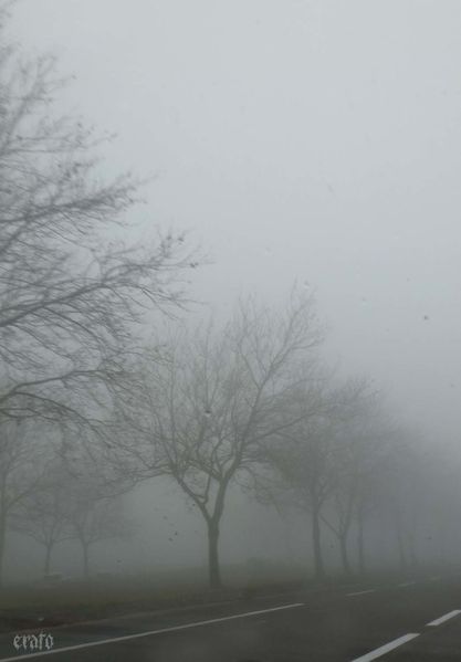 1-dec.-2011---brouillard-Aubenas-010a.jpg