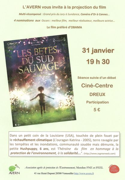 avern-cine-centre-2013.jpg