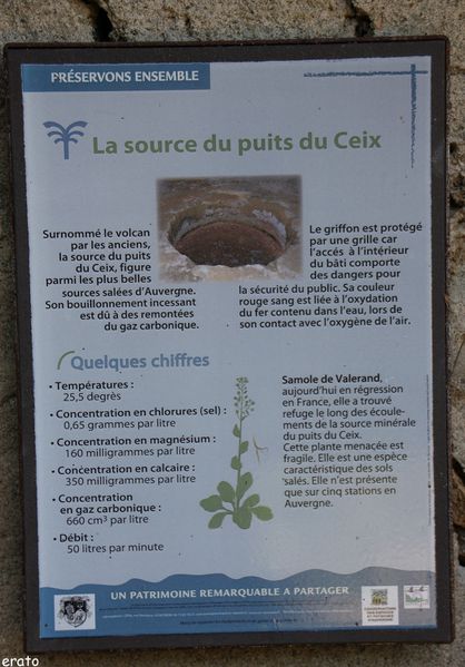 2juillet2011--Gimeaux---sources-petrifiantes---to-copie-20.jpg