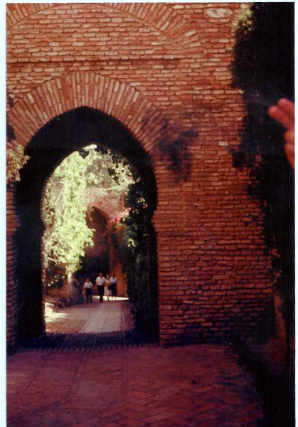 1-Top-001.jpg