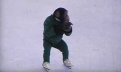 jonny-monkey.jpg