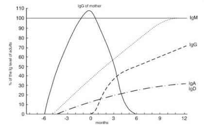 Graphique-systeme-immunitaire.jpg