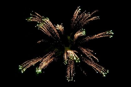007Artifices13juillet2010