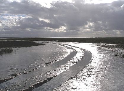 Chemin-au-bord-de-l-etang.jpg