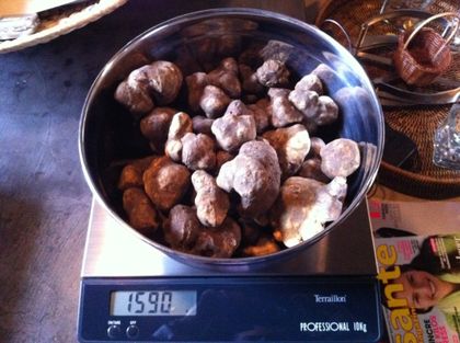 TRUFFE BLANCHE D'ALBA !! - La cuisine de Papada