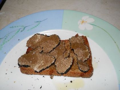 Tartine-d-ete-truffe-blanche-Presenatation--500-.jpg