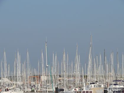 la rochelle 049