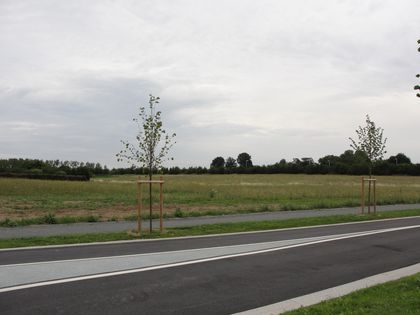 DSC04889.JPG