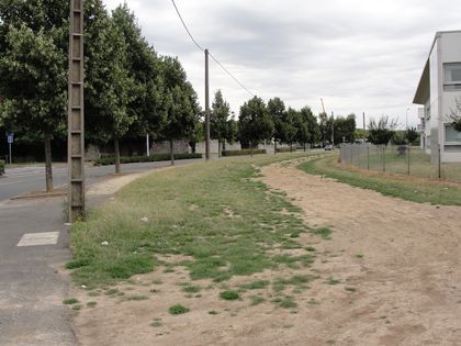 DSC04907.JPG