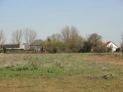 DSC03190