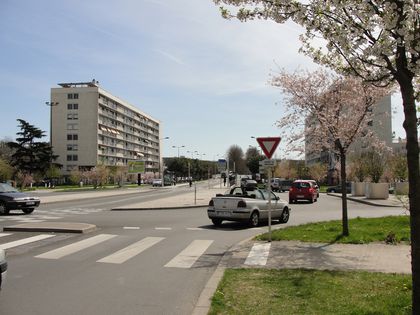 DSC03456