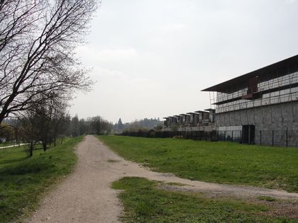 DSC03509