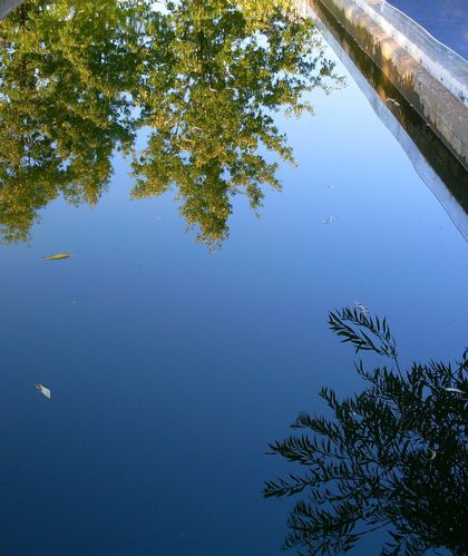 reflet-3-copie-2.jpg