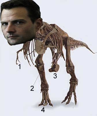 kervielausaure.jpg