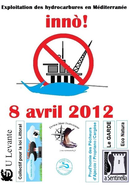 Flottilles-8-avril-2012.jpg