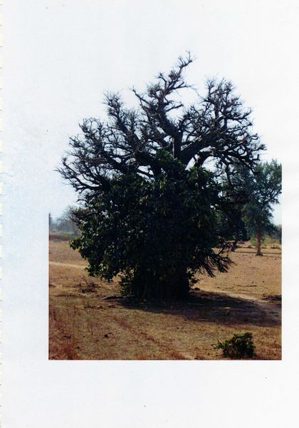 img169.jpg