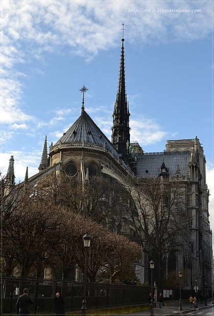 Notre Dame article 5 février 2013 2