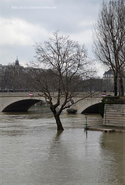 Crue de la Seine 9 février 2