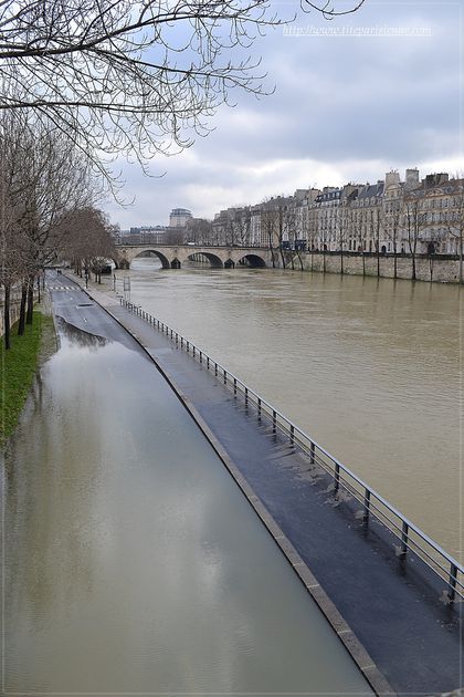Crue de la Seine 9 février 4