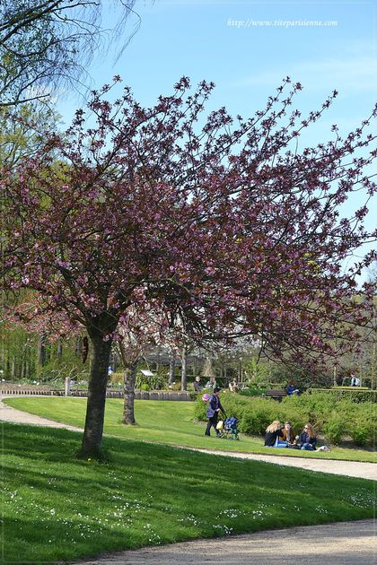Printemps au Parc Floral de Paris 13