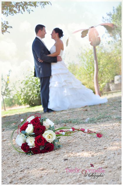 photo mariage Castres Albi (25)