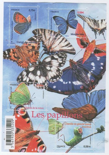 BF-papillons-2010.jpg