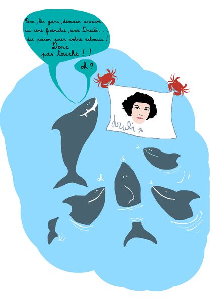 drubi-requins.jpg