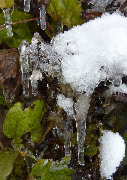 decembre-2010-118a.jpg