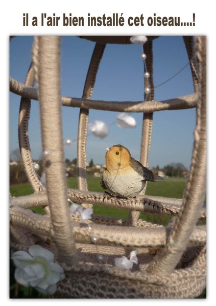 cage3