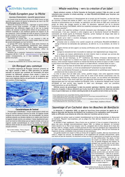 bulletin-2010-PAGE-2-JPEG--3m.jpg