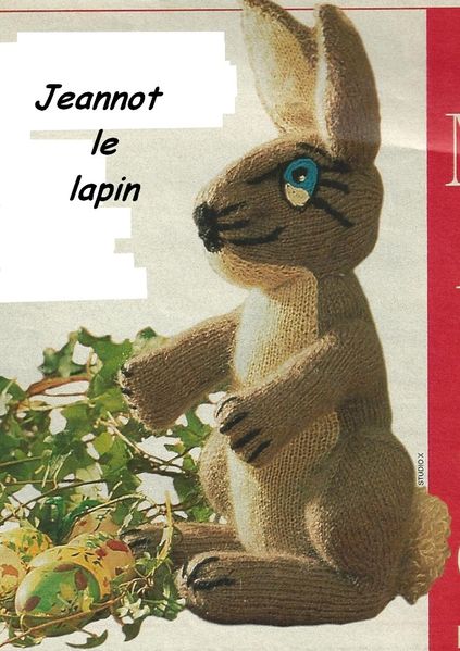 Photo-jeannot-le-lapin