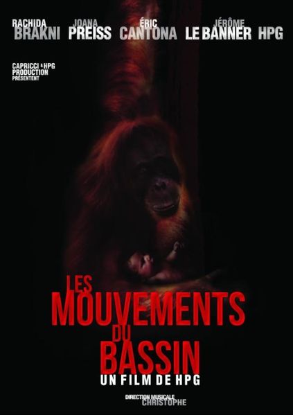 Les-Mouvements-du-bassin.jpg