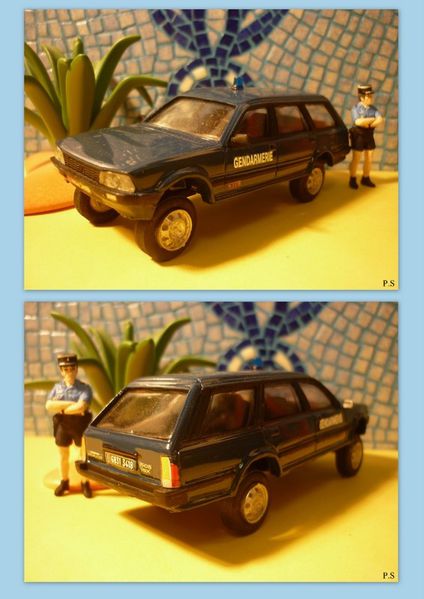 505_Dangel_MVI.jpg