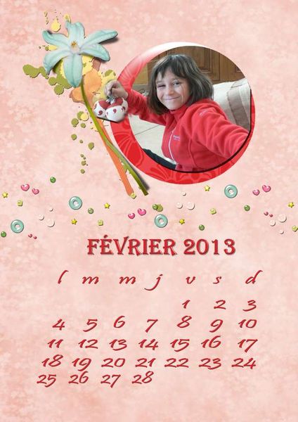 dcs janvier ;template fevrier 2013 floriane copie PhotoRedukto