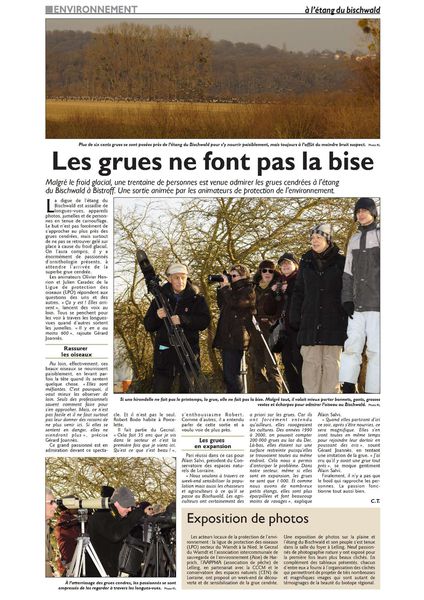 PDF-Cahier 2-edition-de-saint-avold 20150210 LRL Grues au B