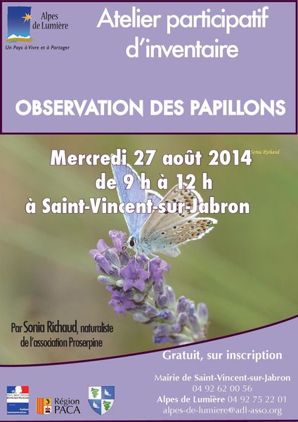 2014-08-27 atelier biodiversité Jabron papillons