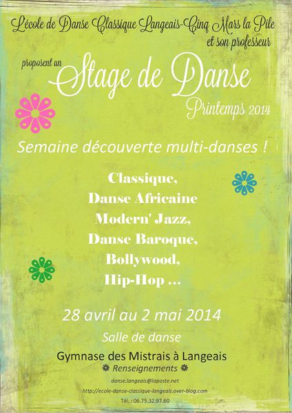 affiche stage2014printemps