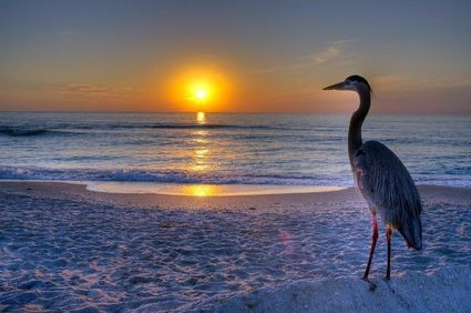 mer-rivage-coucher-soleil.jpg
