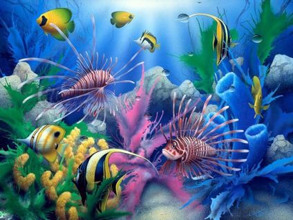 animal poisson mer chaude