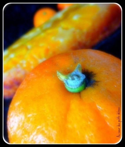 Picnik renversé2