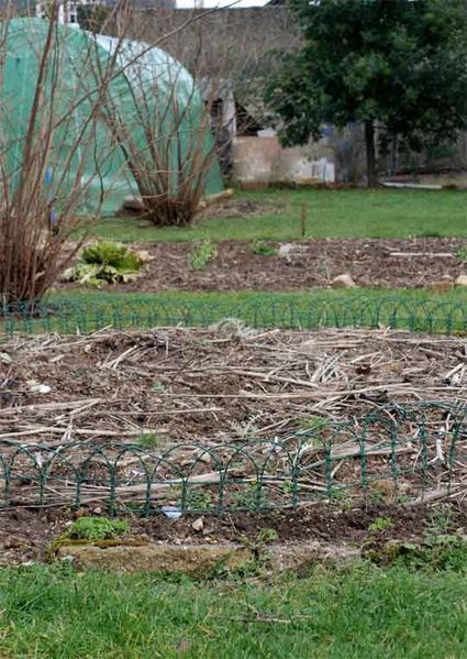 potager